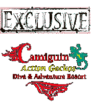 Booking exclusively at Camiguin Action Geckos