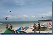 A sky full of kites