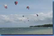 A sky full of kites